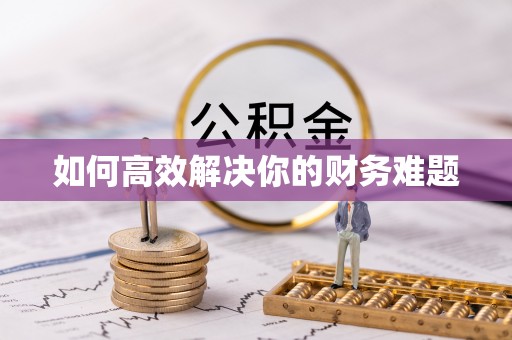 襄城如何高效解决你的财务难题