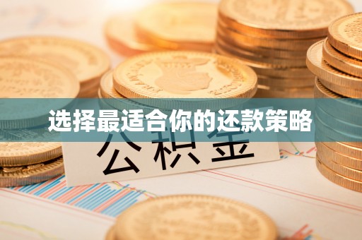 襄城选择最适合你的还款策略