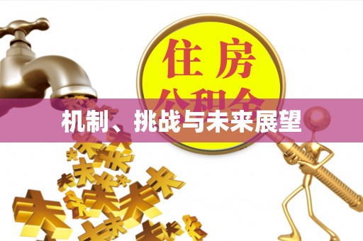 襄城机制、挑战与未来展望